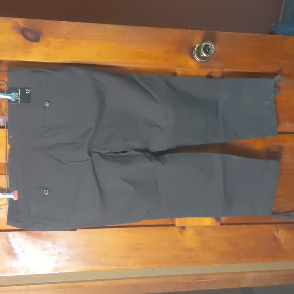Lady Hathaway Capri pants size 12, drawstring waist zipper/button closure pocket - Picture 2 of 12